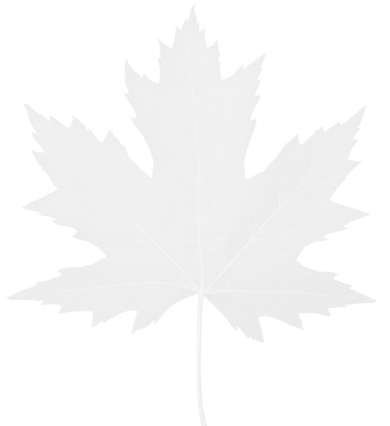 USMCA Work Permits