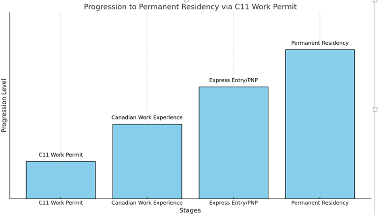 C11 Work Permits