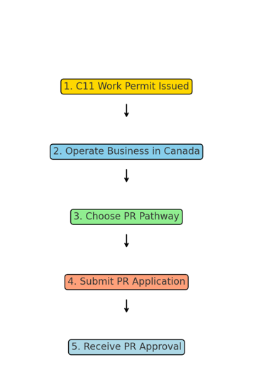 C11 Work Permits