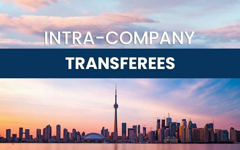 intra-company-transferees-1