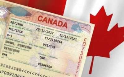 My Visa Application Was Refused. What Can I Do Next?